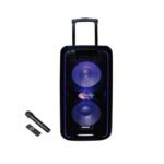 PROFESSIONAL SPEAKER
