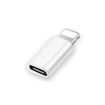 USB C to Lightning Adapter for iPhone